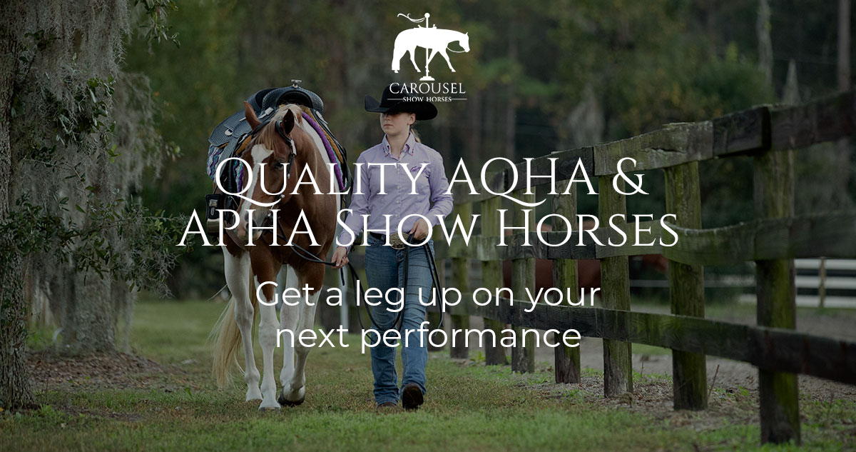 APHA & AQHA Show Horses Carousel Show Horses St. Augustine, FL